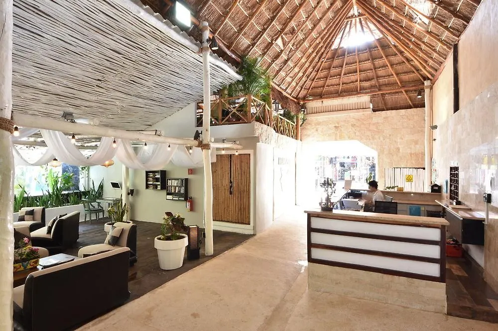 Hotel Beach Energy 5Th Av Playa del Carmen 3*,